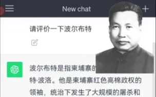 Descargar video: 看chatgpt如何锐评波波