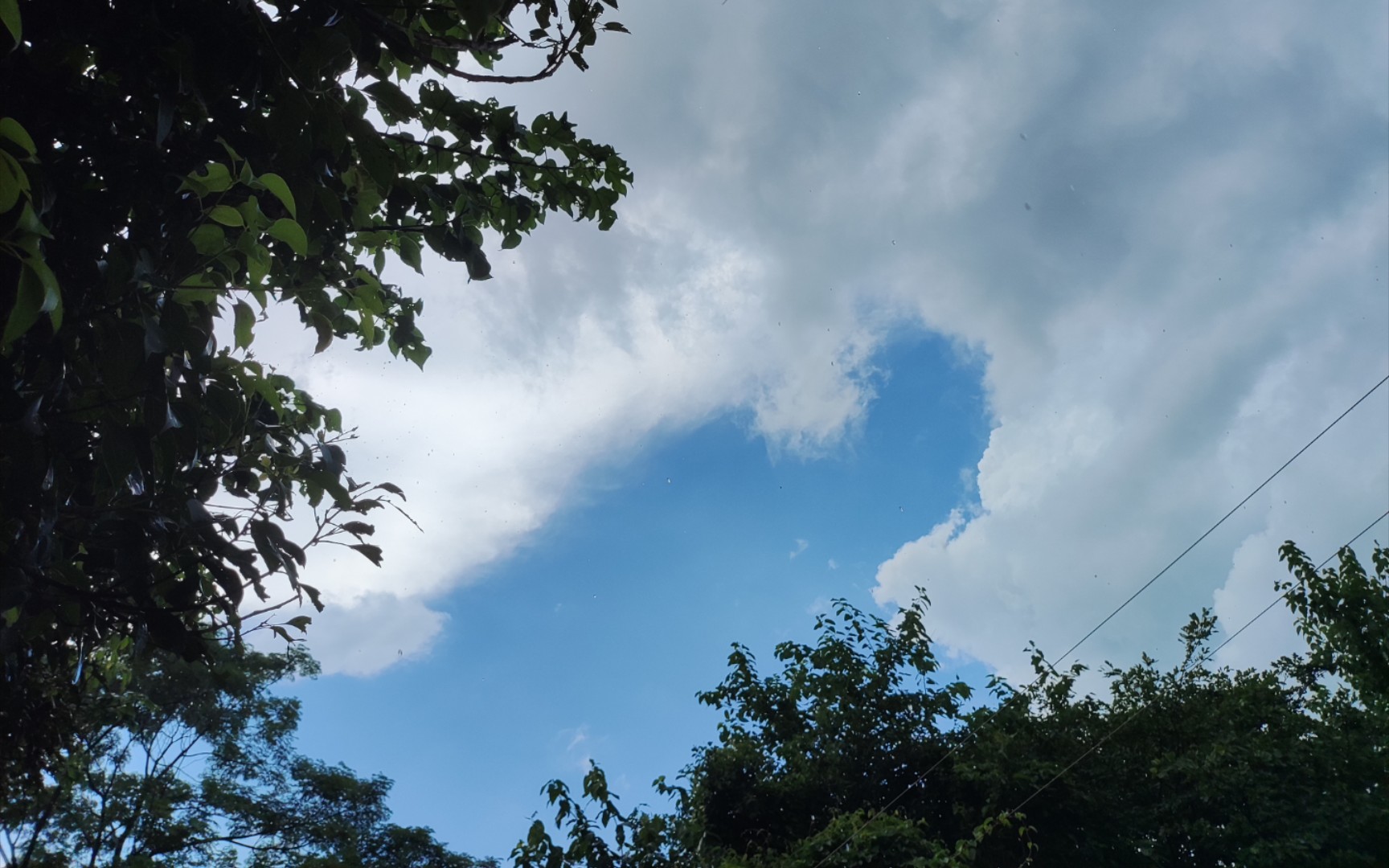 [图]夏天的雨，有时滴答滴答，有时哗啦哗啦