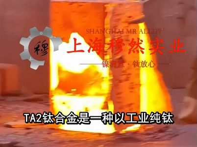 【2024】TA2钛合金是一种以工业纯钛(Grade 2)为基础的钛合金哔哩哔哩bilibili