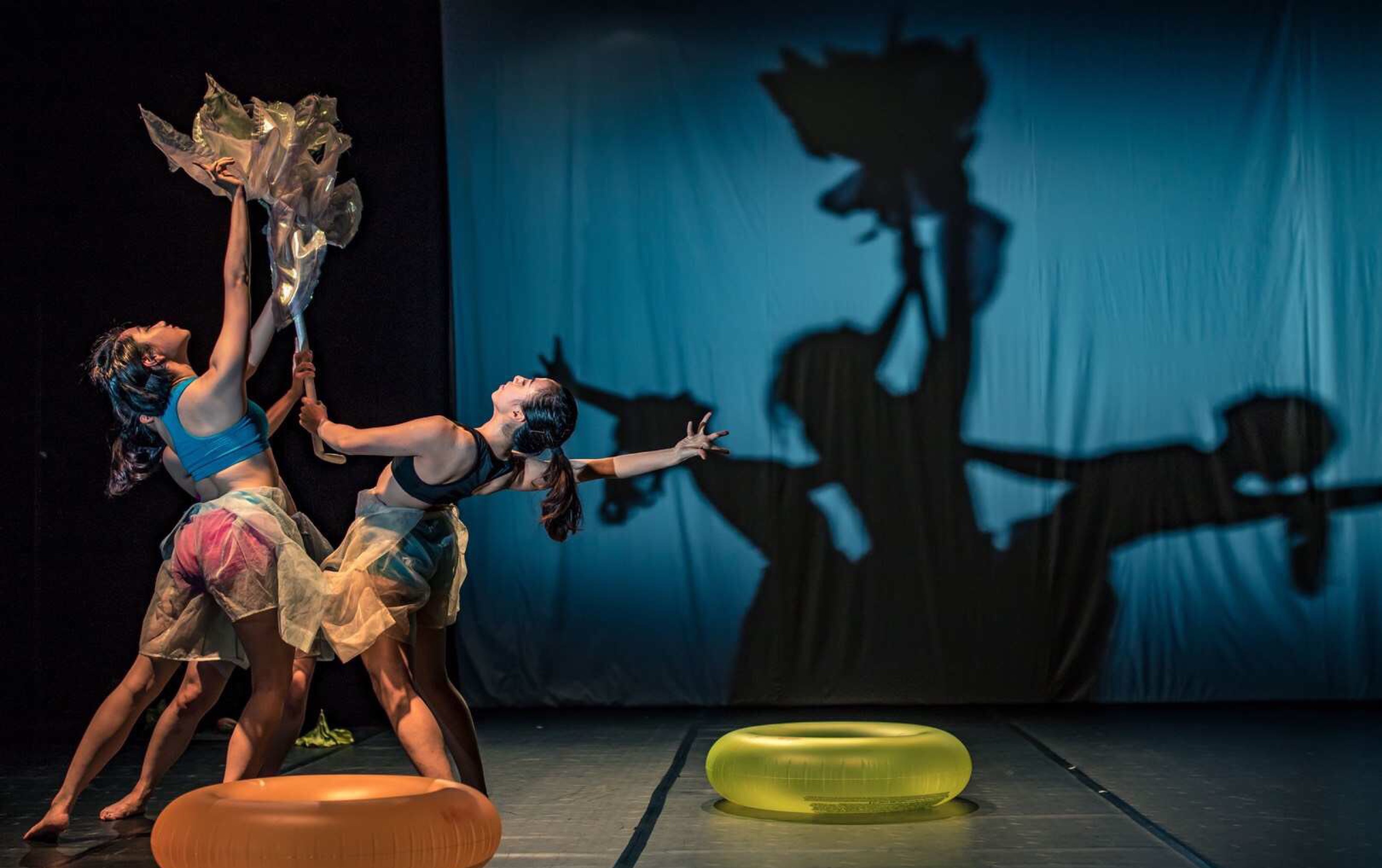 舞蹈剧场《电子莲》 二高何其沃x澳门诗篇舞集现代舞作品 中国舞元素