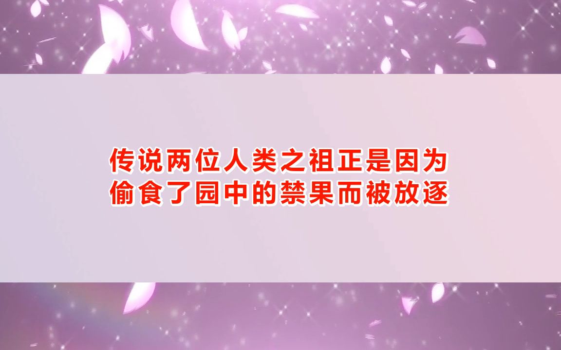 剧本杀《错位》电子版剧本+复盘解析+开本资料+复盘答案【亲亲剧本杀】桌游棋牌热门视频