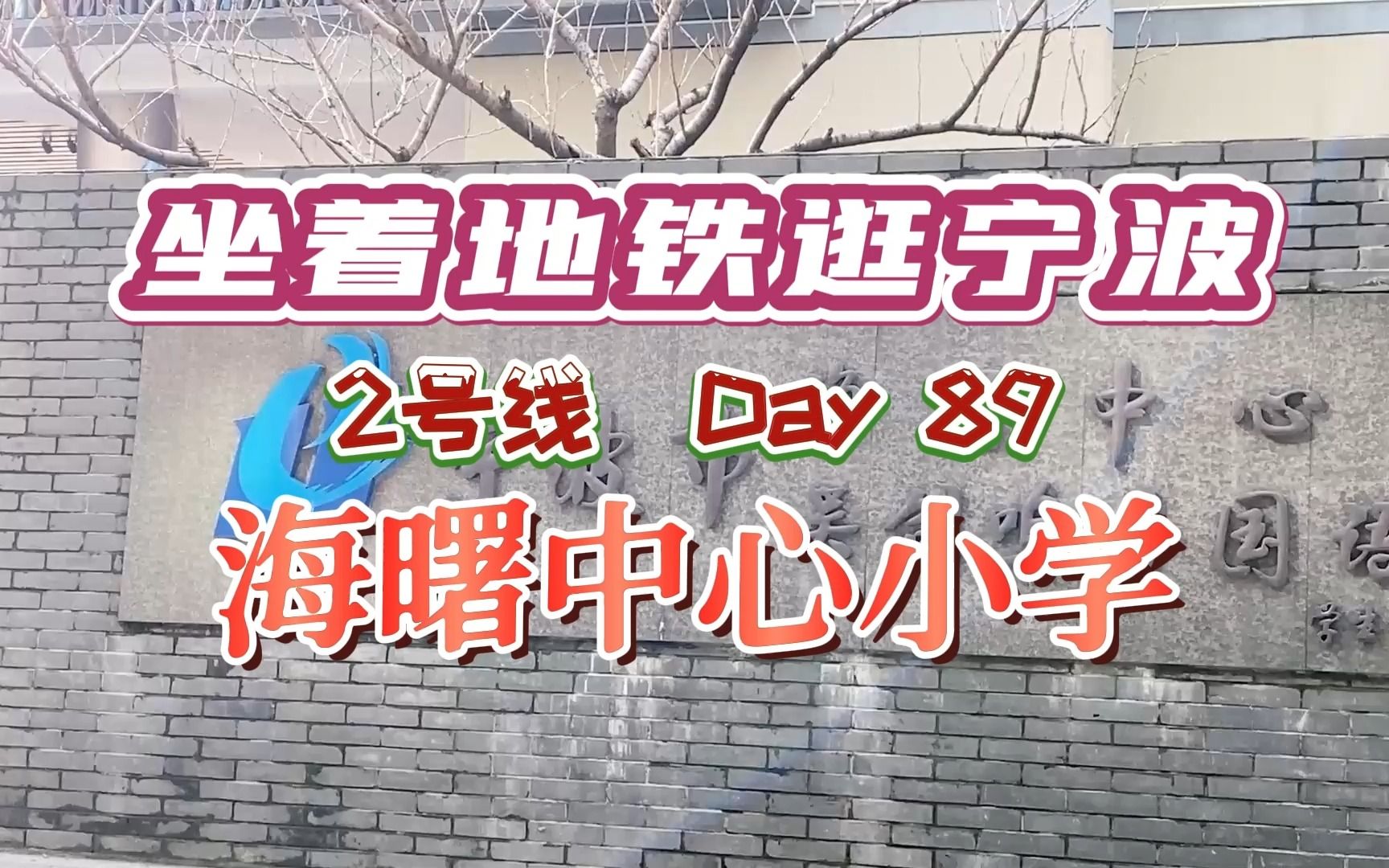 从“星荫园”中走来的,宁波海曙中心小学哔哩哔哩bilibili