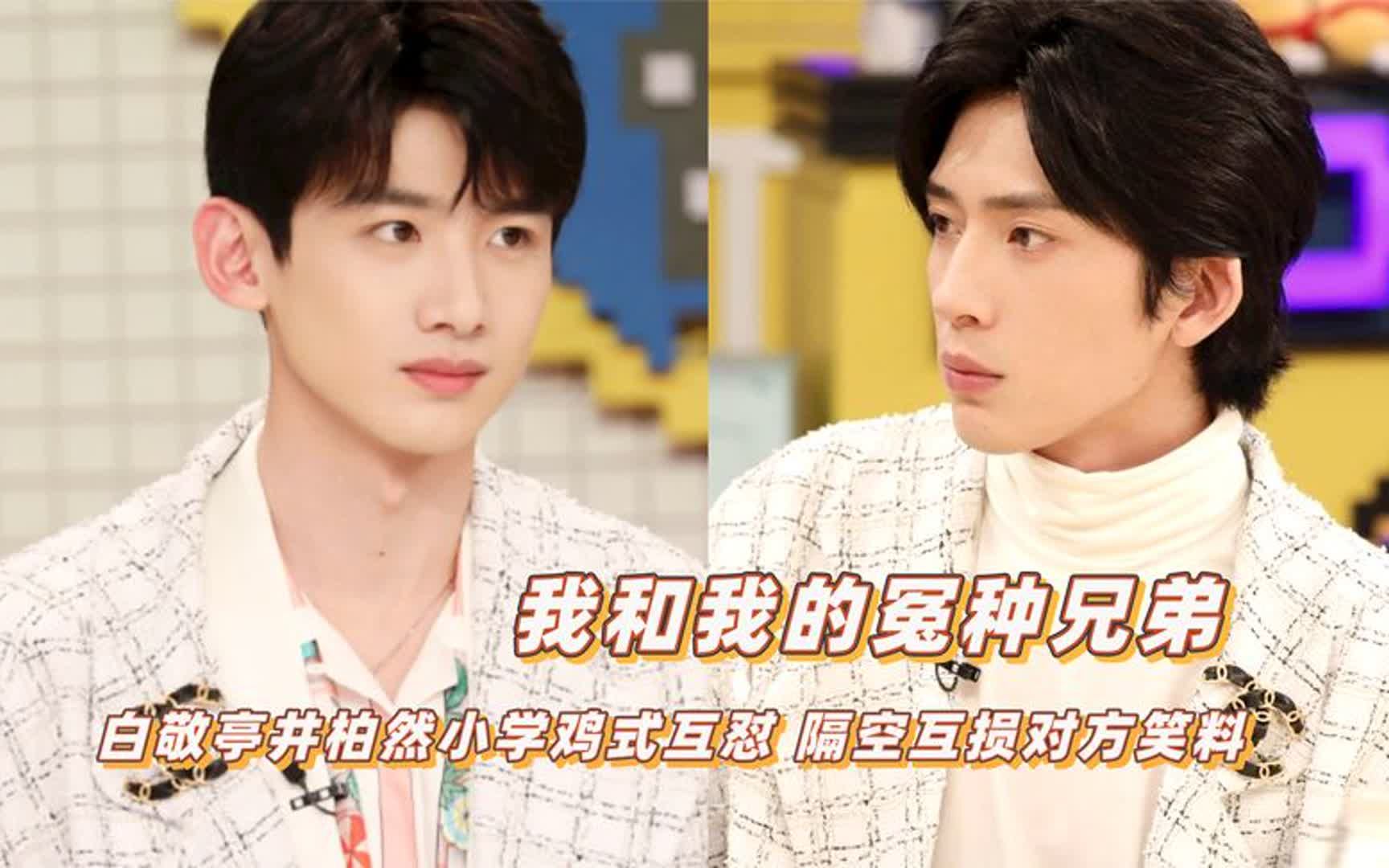 我和我的冤种兄弟:白敬亭井柏然小学鸡式互怼,隔空互损对方笑料