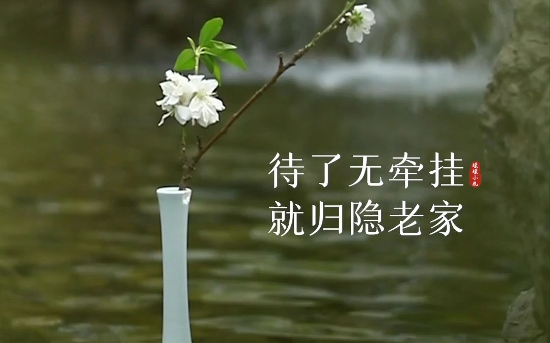 待我了无牵挂,从此归隐老家,忙时修篱种花,闲时小酒清茶.哔哩哔哩bilibili