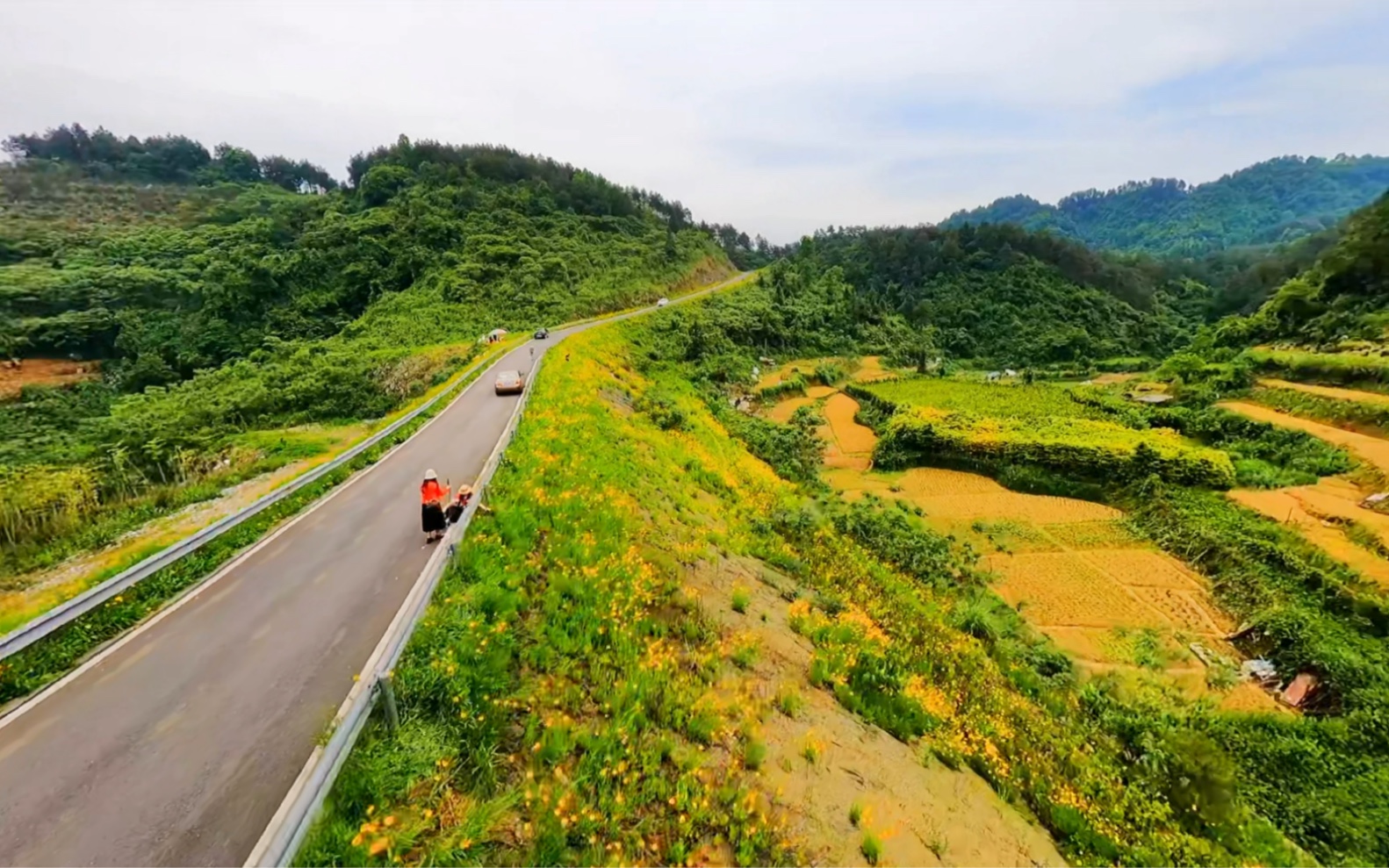 吉首花果山网红公路图片