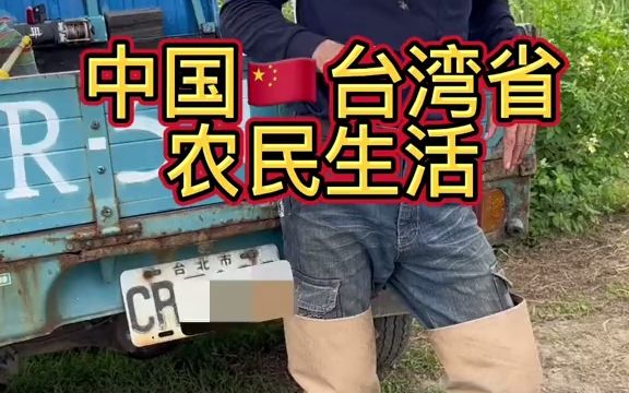 中国台湾省农民生活,文艺气息的台湾省农民哔哩哔哩bilibili