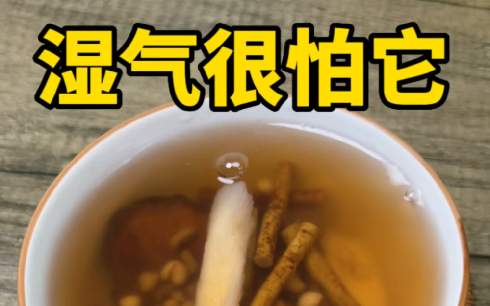 无湿𐟒椸€身轻,真后悔没早点喝#煲汤[话题]# #为你煲汤[话题]# #我的煲汤秘籍[话题]#哔哩哔哩bilibili