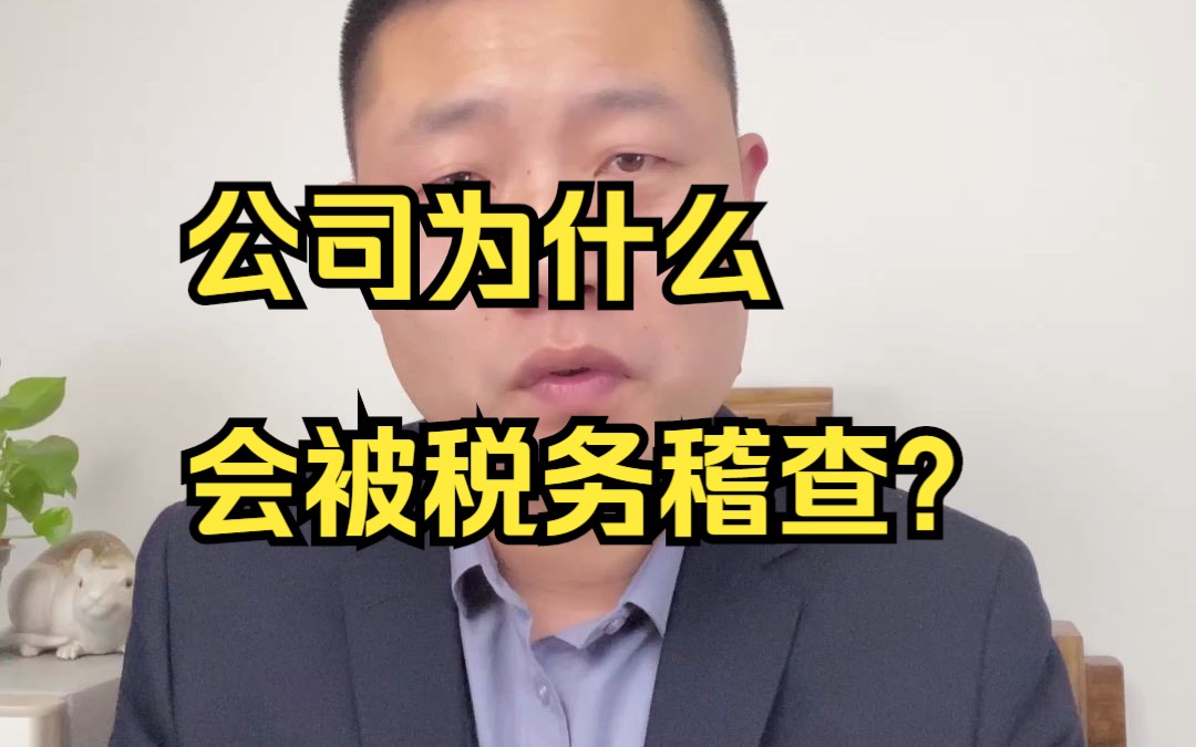 为什么你的公司会被税务稽查到?哔哩哔哩bilibili