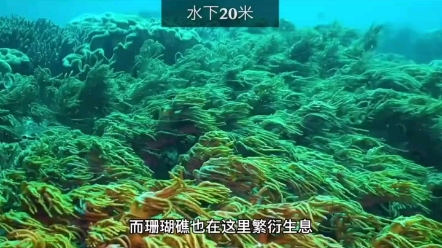 [图]海洋深处有什么？你知道吗