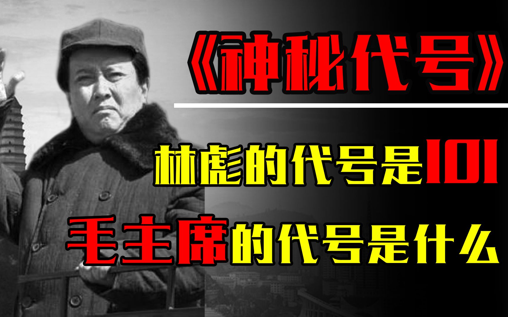 解放战争时期,林彪代号101粟裕代号502,毛主席的代号是什么?哔哩哔哩bilibili