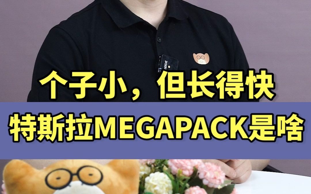 个子小,但长得快,特斯拉MEGAPACK是啥哔哩哔哩bilibili