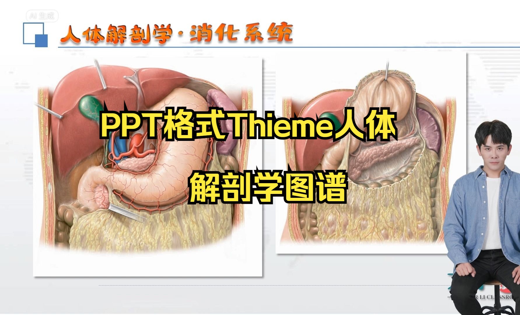 [图]PPT幻灯片格式Thieme人体解剖学图谱电子书-英文手绘彩色版-解剖插图可保存-高清插图