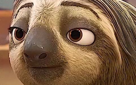 【疯狂动物城】一起看看慢节奏的闪电的笑容开心一下.