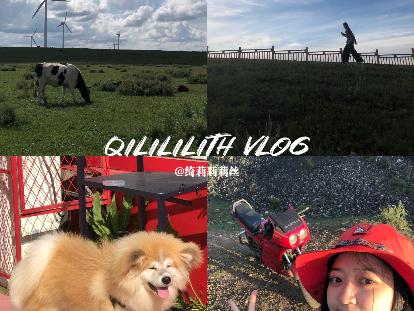 Qili内蒙古旅行Vlog|永远忘不了站在火山上夕阳照在脸上的那一刻𐟏️人生是旷野,而不是轨道.哔哩哔哩bilibili