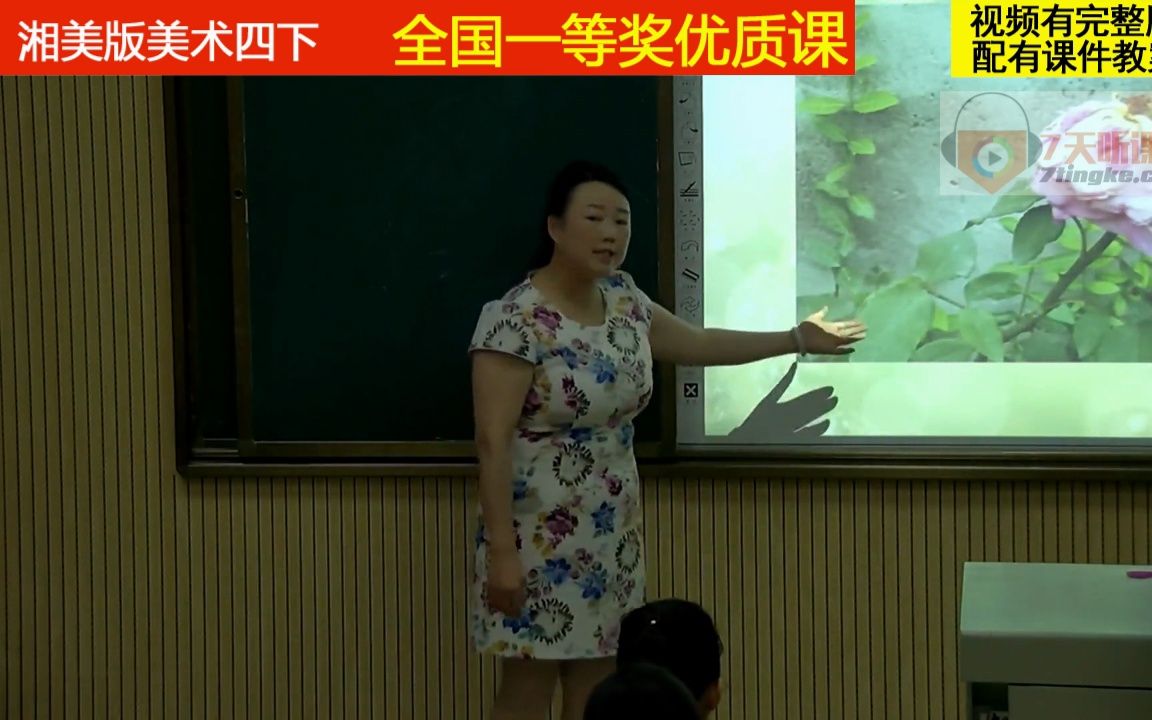 [图]14湘美版美术四下《花团锦簇》杨老师全国一等奖优质课