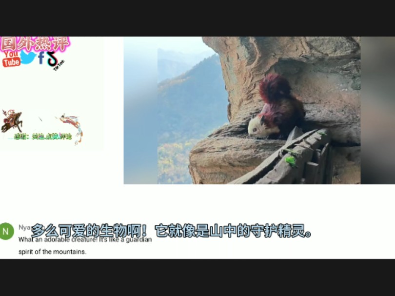中国网友武当山随拍"上古灵兽"飞天神鼠火国外,老外:别笑!