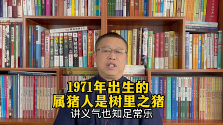 十二生肖运势详解:1971年出生的属猪人是什么样的人?哔哩哔哩bilibili