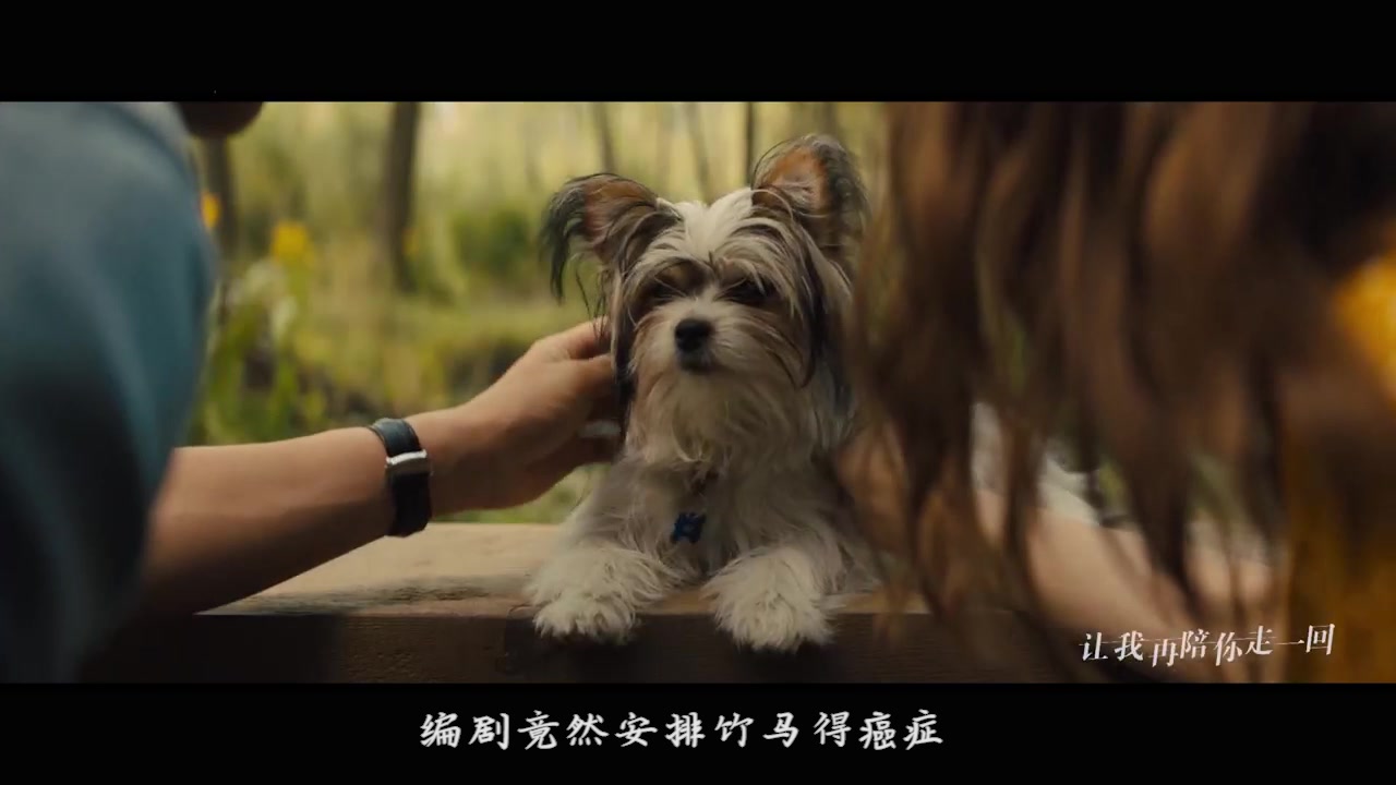 《一条狗的使命2》票房破亿 刘宪华"好莱坞电影男主"首战告捷!