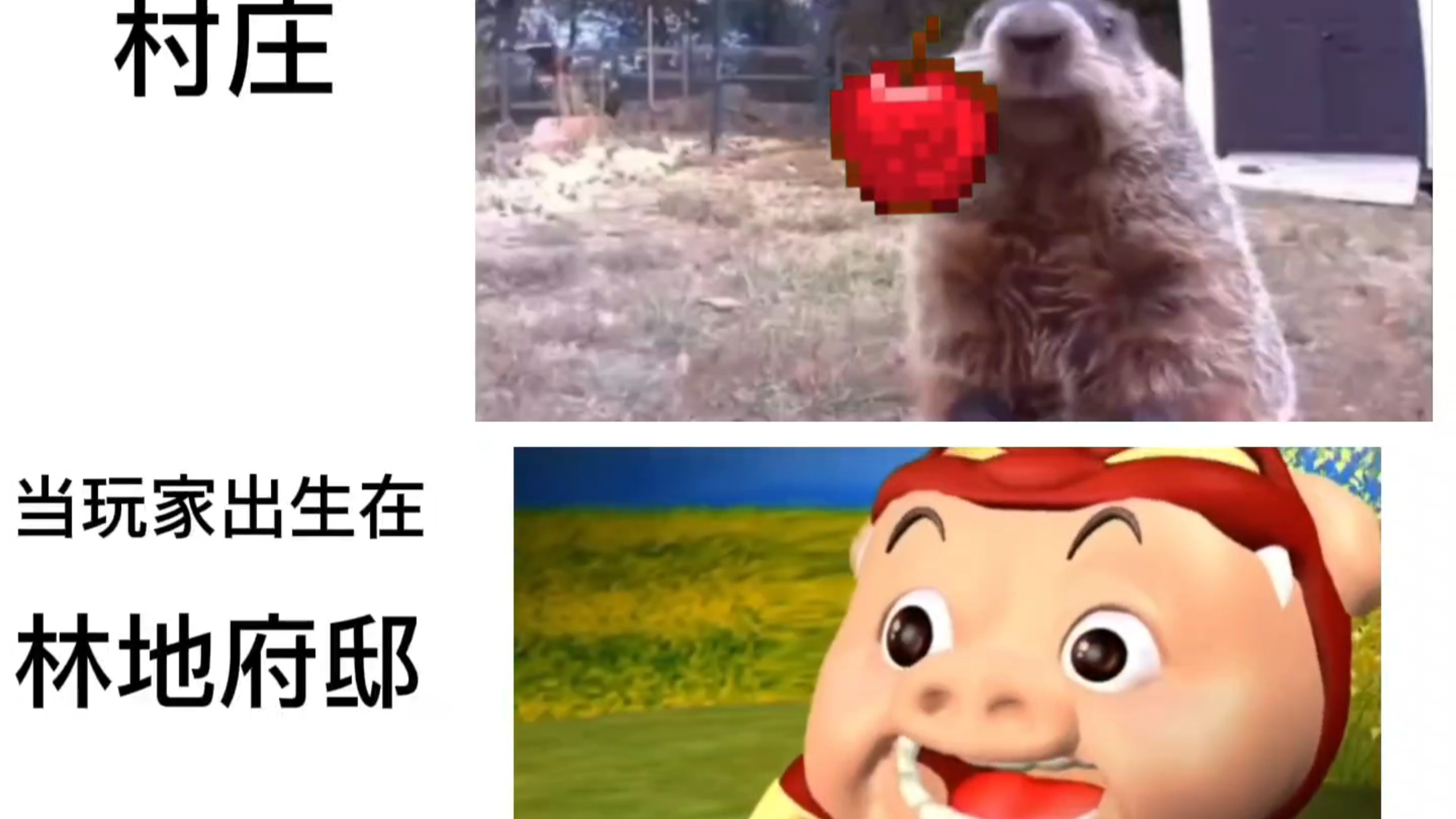 当玩家出生在不同地方：