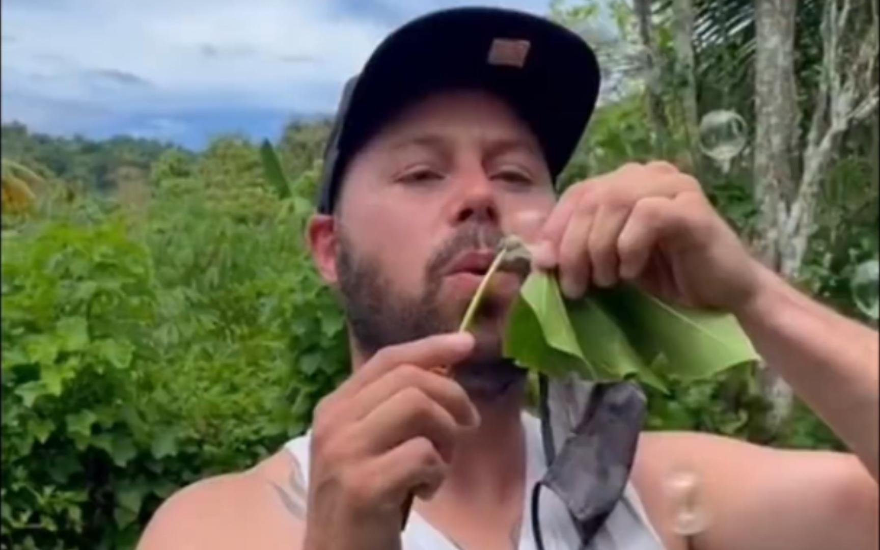 [图]用植物吹泡泡！快 在我家门前 急需种一棵