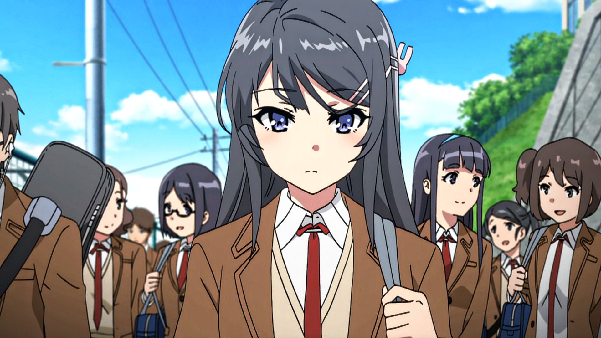 "人活着就是为了樱岛麻衣!