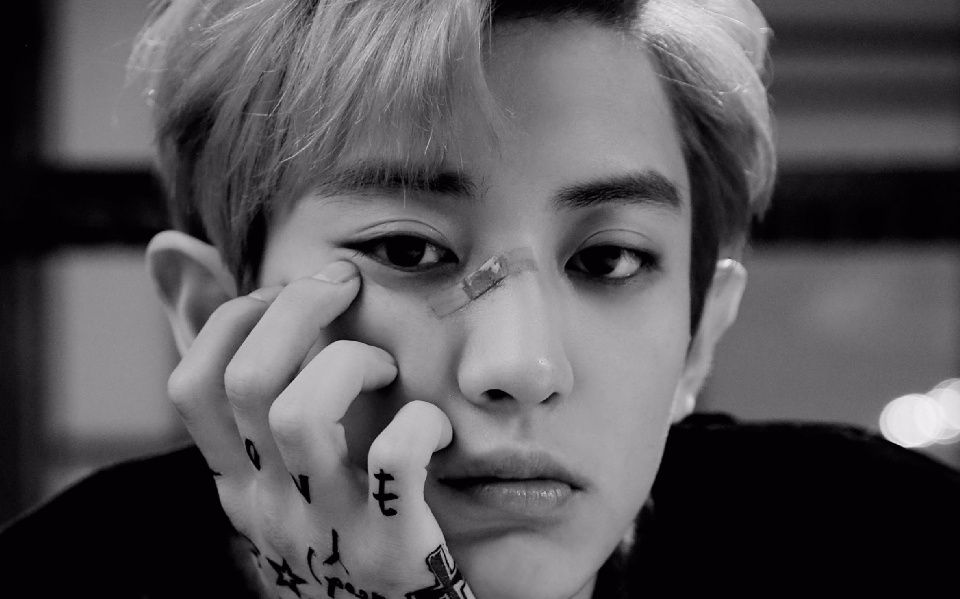 exo三辑后续lotto朴灿烈cut