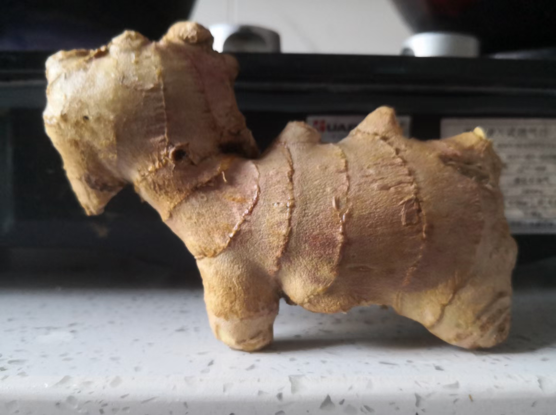 马姜_哔哩哔哩_bilibili