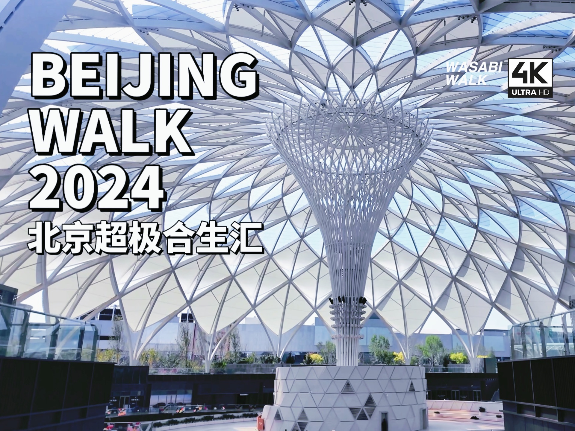 【Beijing Walk】在亚洲最大穹顶下畅享购物:北京超极合生汇・公园式商场散步|2024/09【4K/原创】云旅行・放松解压・城市环境音哔哩哔哩bilibili