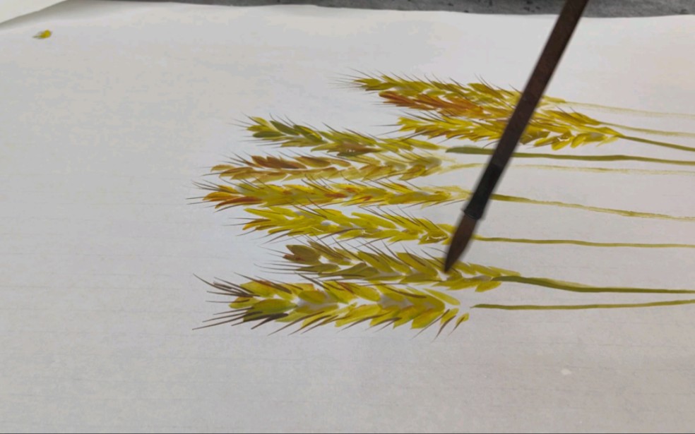 小满画小麦小写意国画作品王庆之写生画