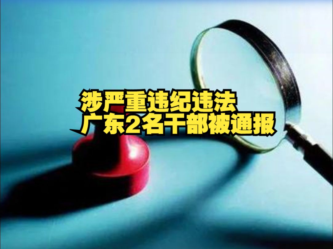 涉严重违纪违法,广东2名干部被通报哔哩哔哩bilibili