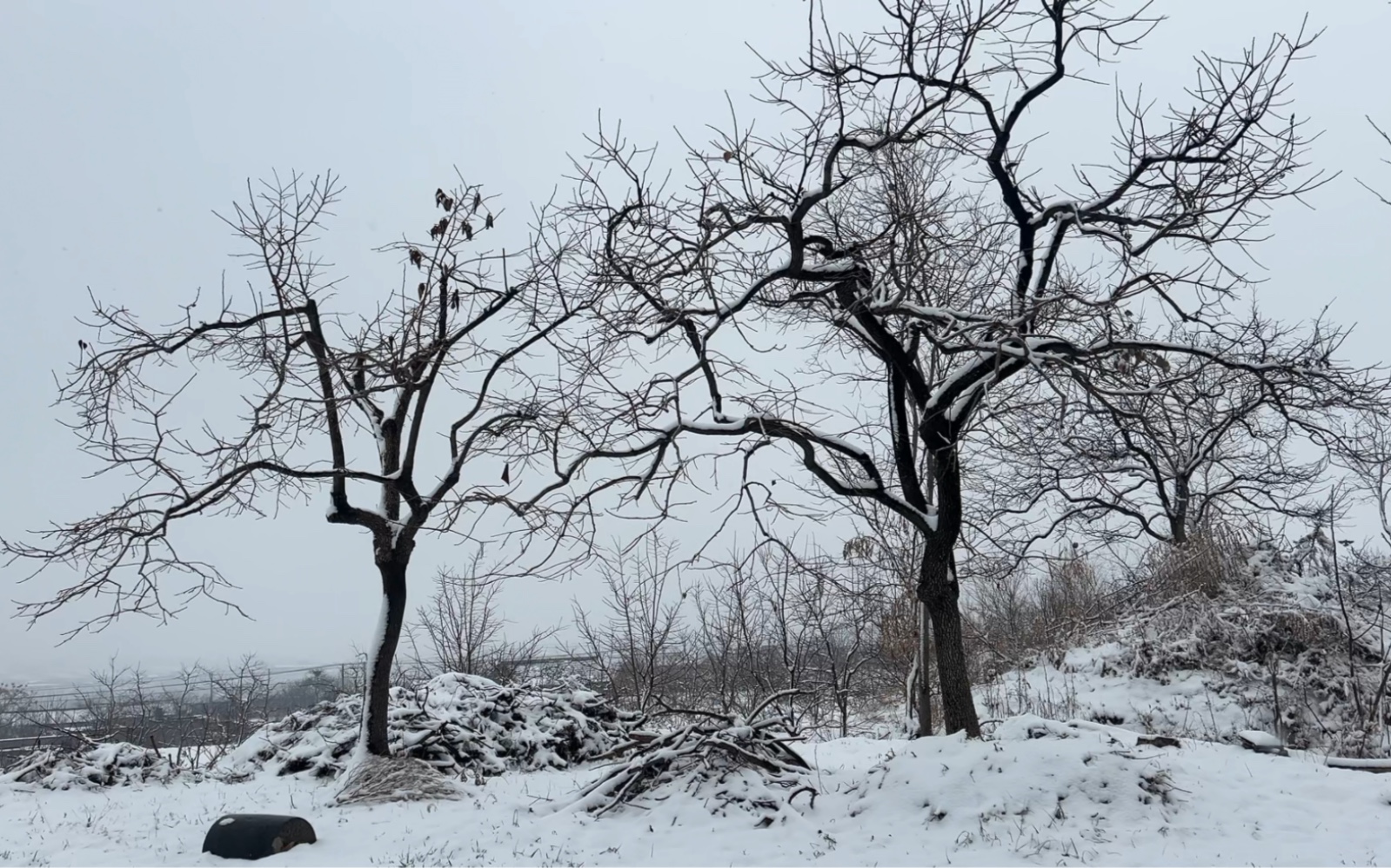 [图]风雪夜归人，一场大雪，就回到了古代。