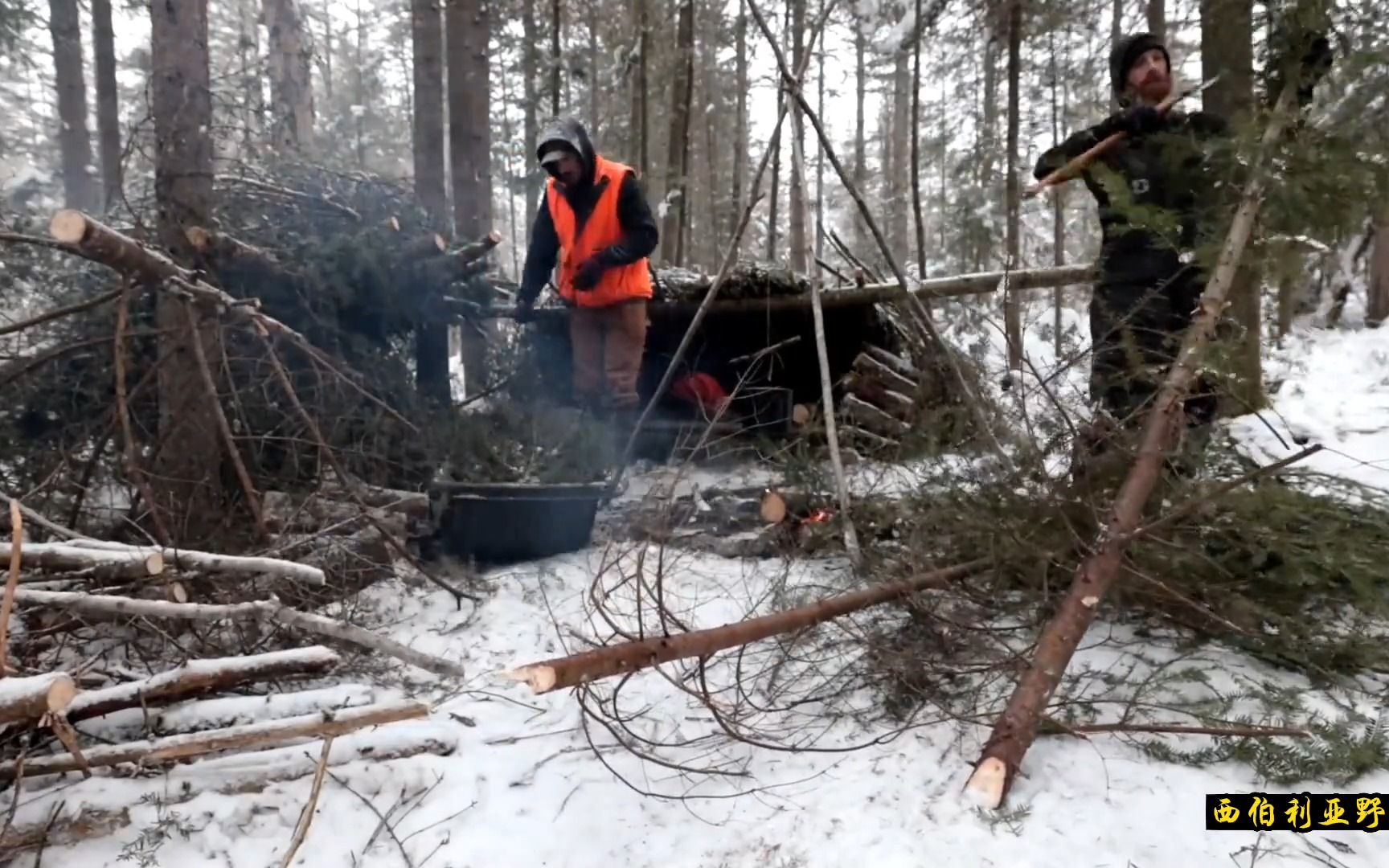 [图]-12°雪林狩猎野兔，寒风刺骨极其寒冷，果断搭建树枝驱寒烤着吃