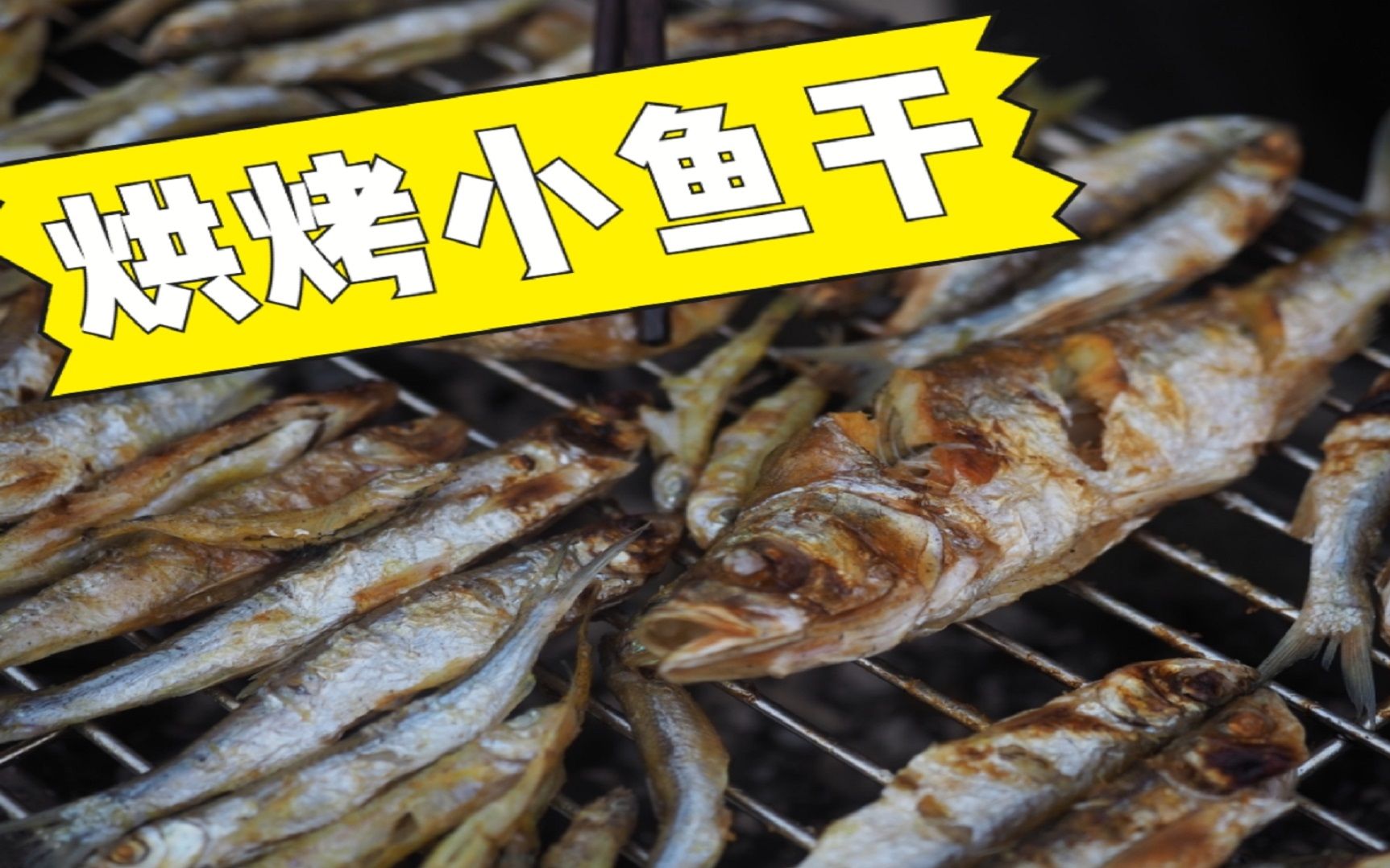 活動作品一家人去釣魚回來在燒烤架上烘成小魚乾美味至極貓咪都饞了