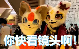 [Furry] 你快看镜头啊！人家在拍了！