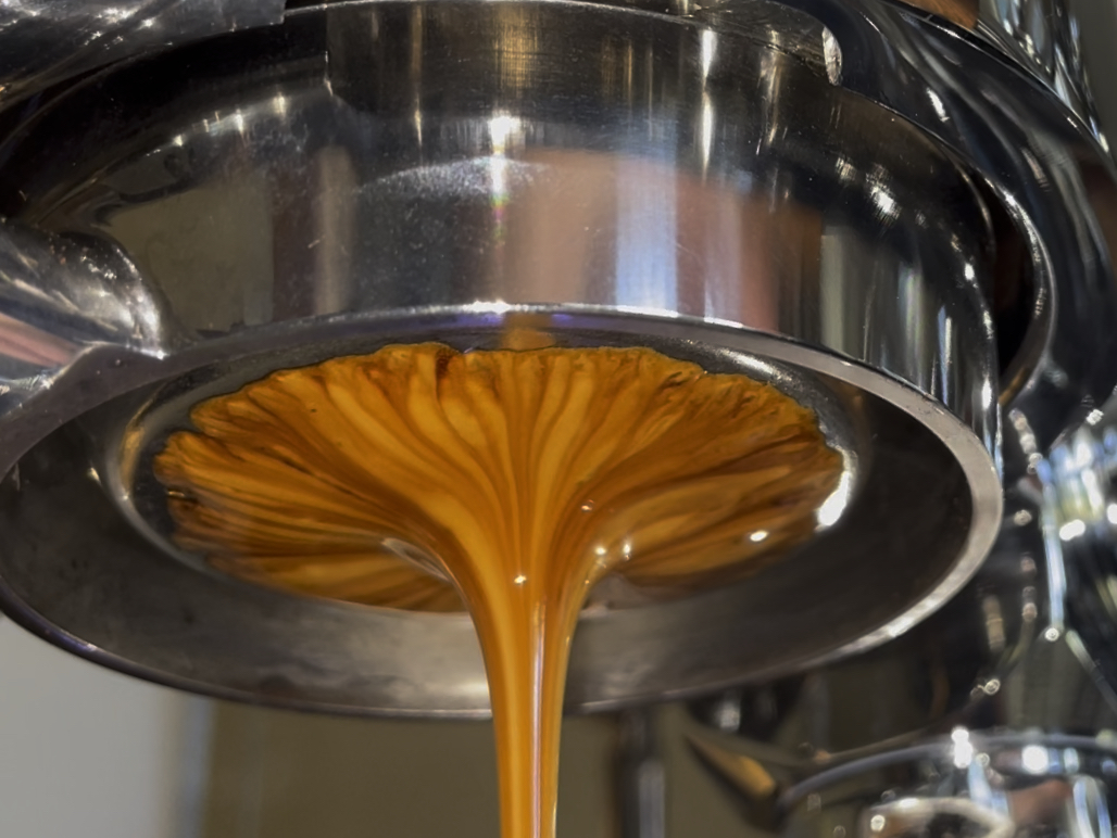 完美的无底萃取