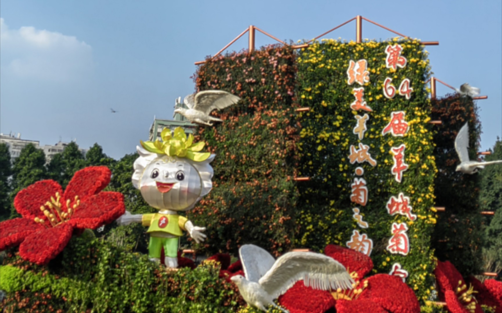 citywalk ‖广州文化公园菊花展