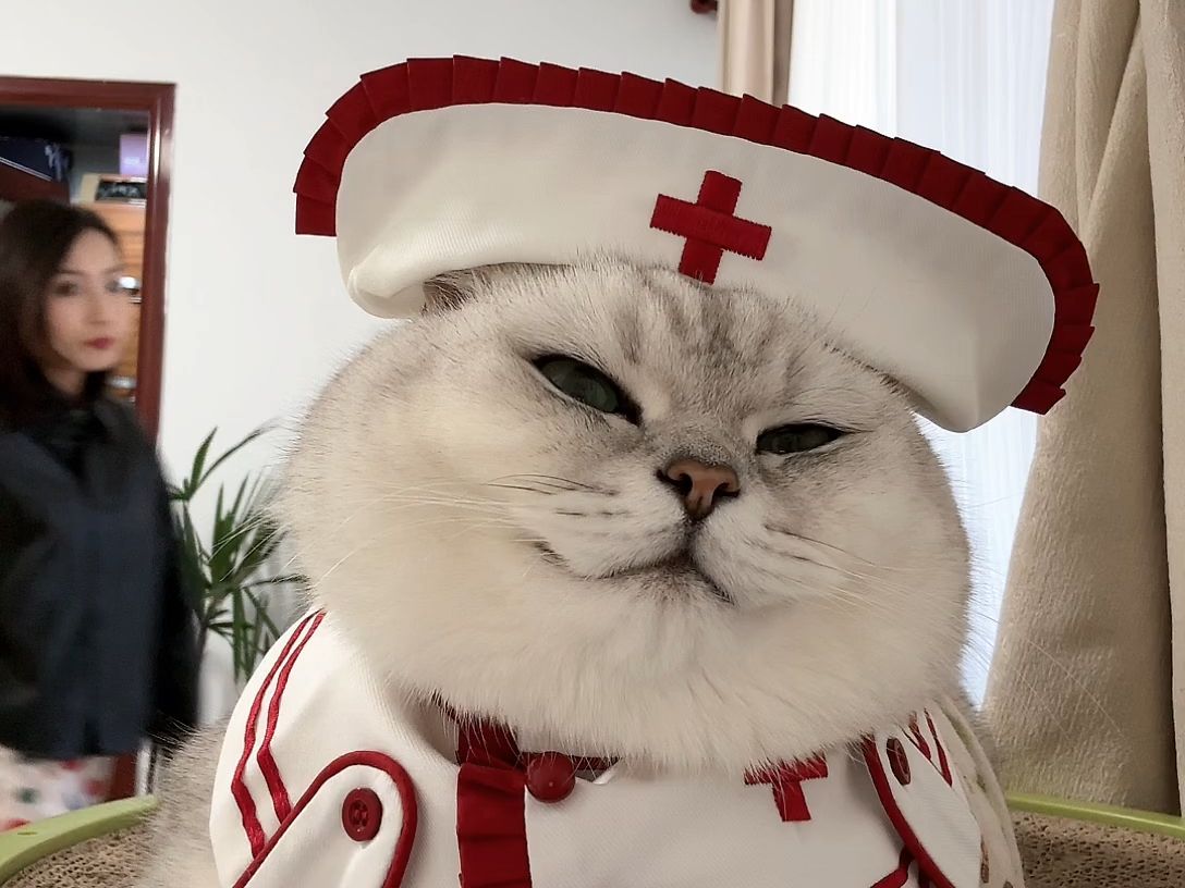 241010_125030_芬儿头是猫不是猪