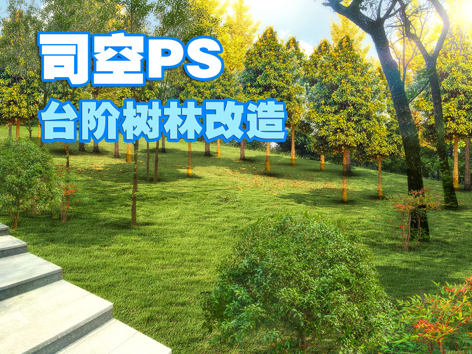 【司空侠ps教程】景观项目提升之山林台阶边上树林环境整治效果图