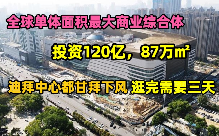 总投资120亿!87万㎡!武汉商业的航空母舰武商梦时代要来了,迪拜中心都甘拜下风,逛完需要三天三夜!现场太让人震撼!哔哩哔哩bilibili