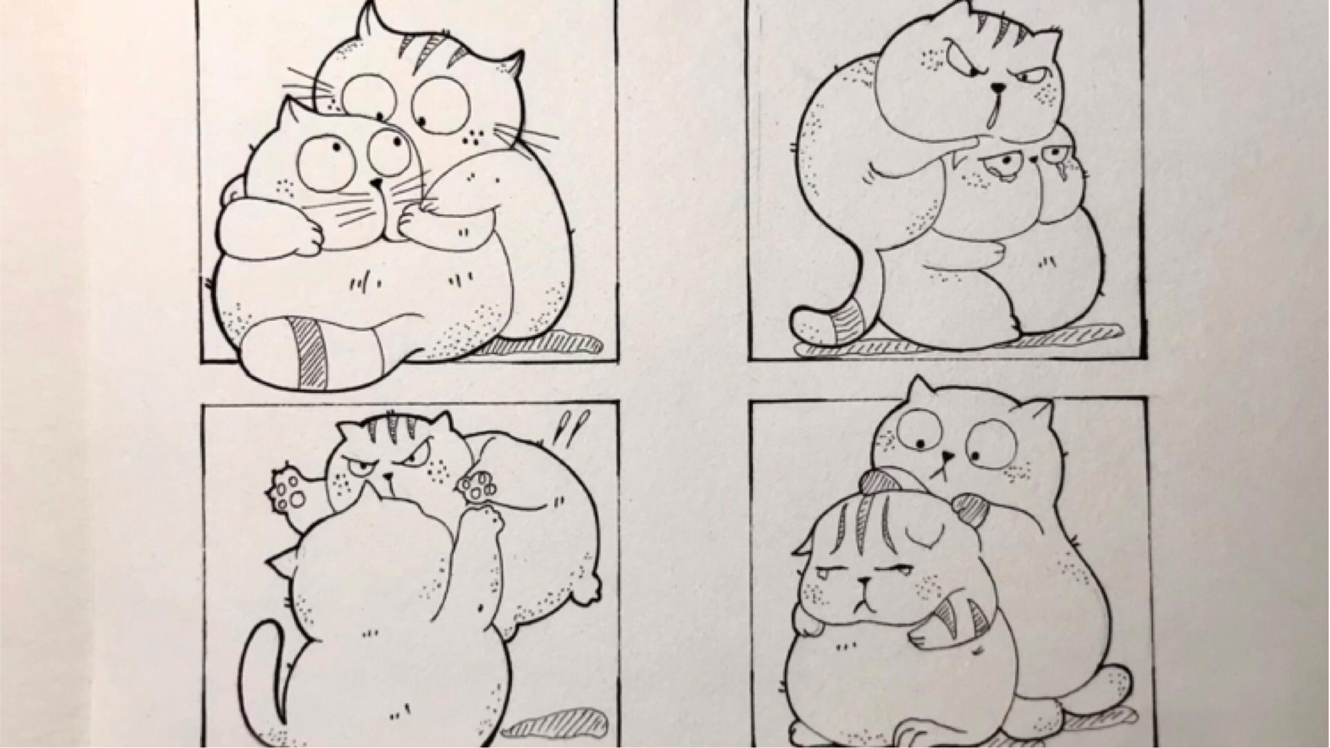 搞笑猫咪黑白简笔画