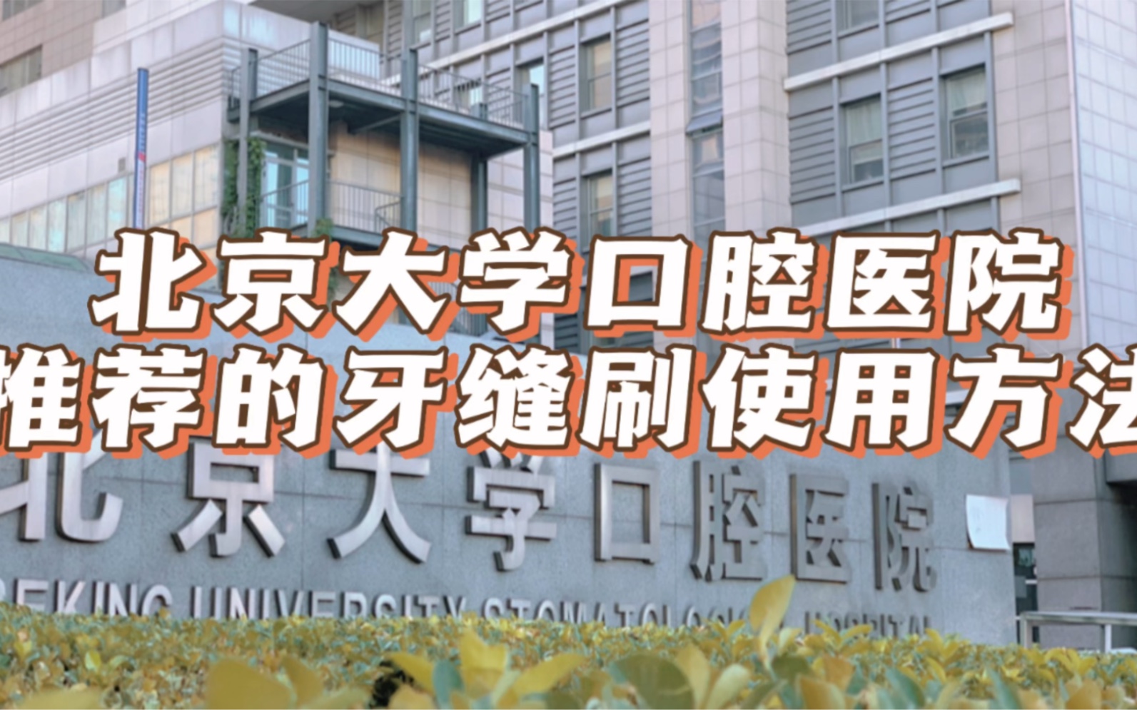 北京大学口腔医院推荐的牙缝刷使用方法,牙周炎患者必备,牙周晚期患者的我简直离不开它,相信我一定要用起来哔哩哔哩bilibili