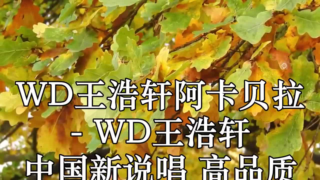 wd王浩軒阿卡貝拉 (live) - wd王浩軒 中國新說唱 高品質 帶和聲伴奏