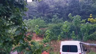 南太行山村柳园山雨