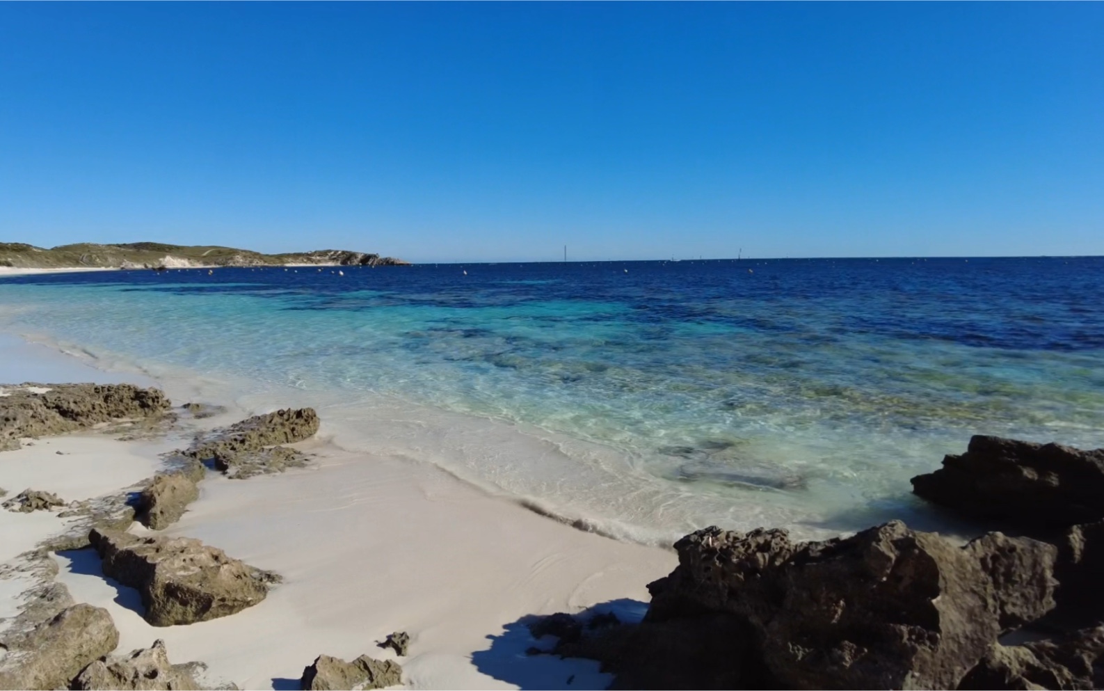 全网最全详解西澳珀斯Rottnest Island——世界最孤独的岛;短尾矮袋鼠的家园,原始海滩,海蓝色宝石的海湾哔哩哔哩bilibili