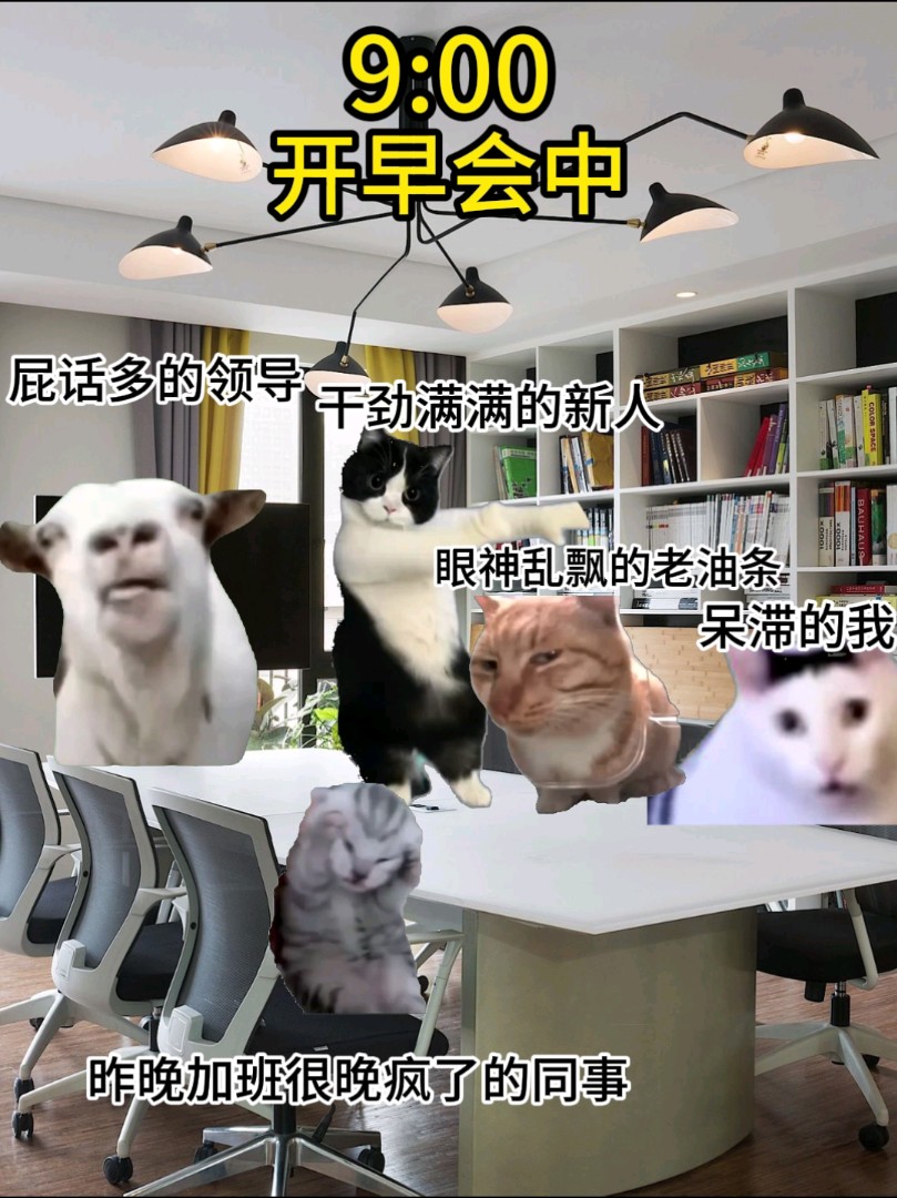 【猫meme】每天公司早会我的精神状态be like…哔哩哔哩bilibili