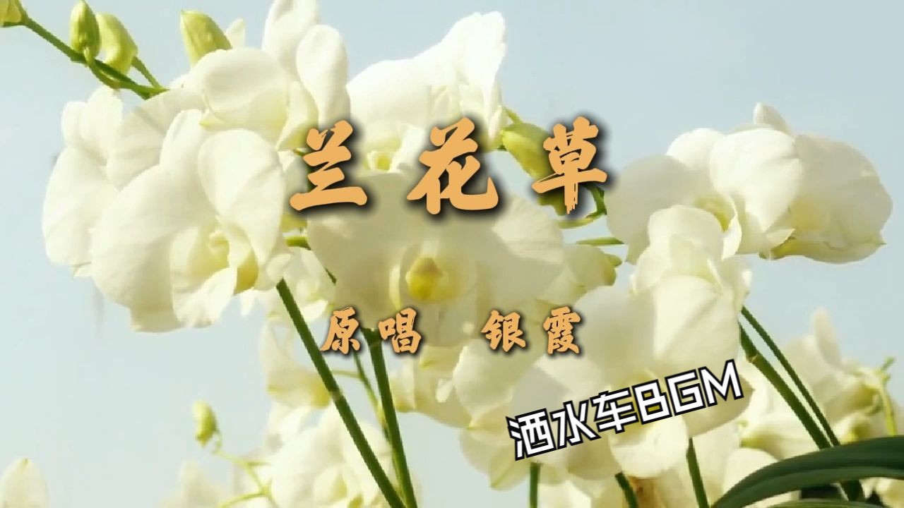 【硬核翻唱】洒水车bgm-经典老歌《兰花草》