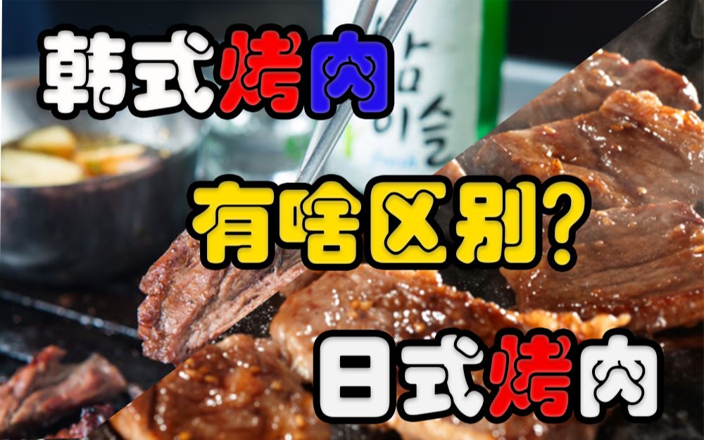 日式烤肉和韩式烤肉到底有啥区别?点进来7分钟带你了解!哔哩哔哩bilibili