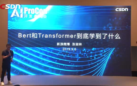 Bert和Transformer到底学到了什么张俊林哔哩哔哩bilibili