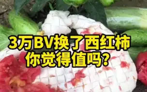 Download Video: 包包修复|3万BV换了西红柿，你觉得值吗？