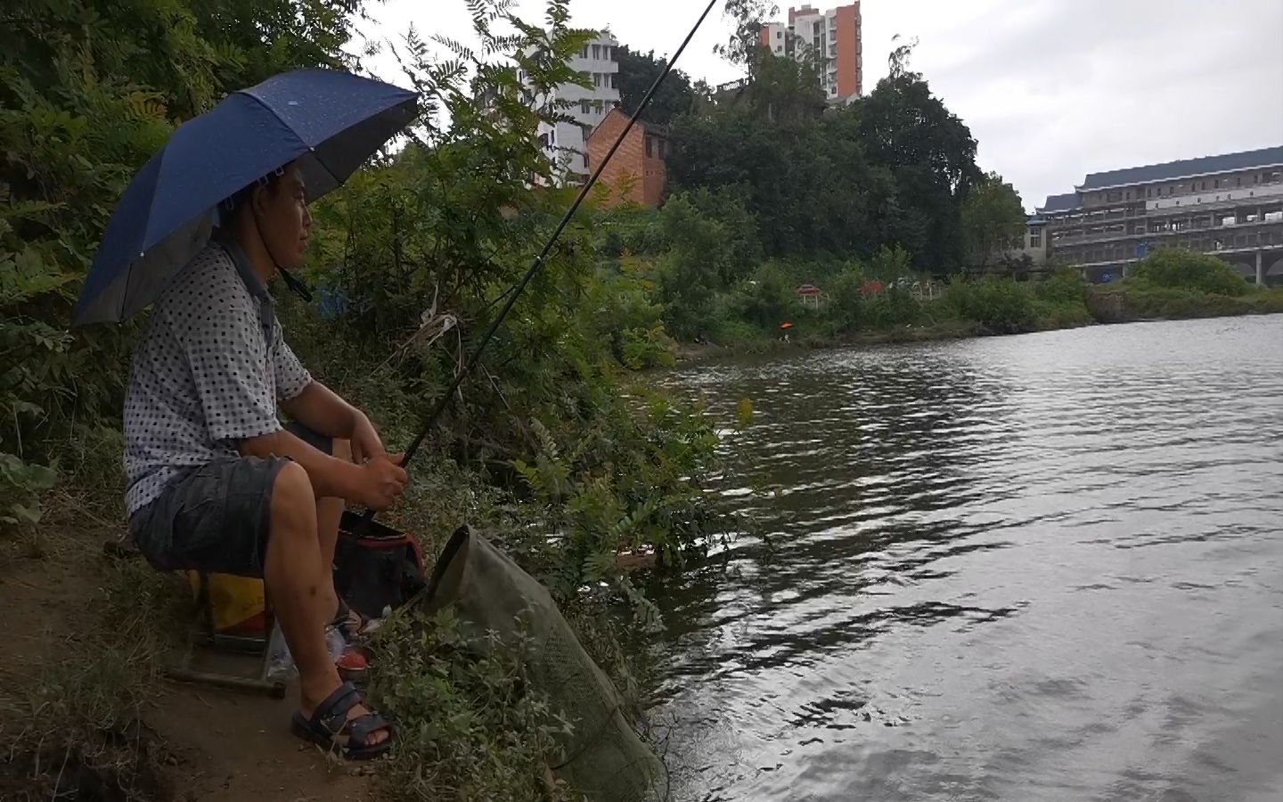 大河涨水后鱼超多,农村大叔钓鱼风雨无阻,白条鲢鱼狂拉不停